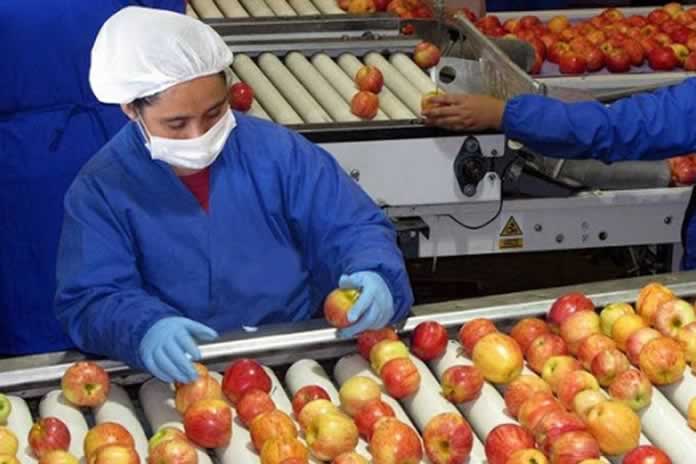 39EN-fRUTICULTURA, LOS MERCADOS INTERNACIONALES DEMANDA CALIDAD