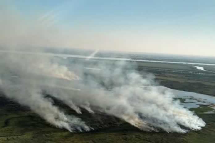 30P-Buenos Aires. El fuego en las islas y la urgente necesidad de proteger los humedales
