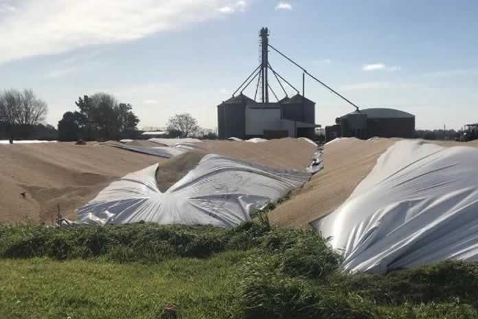 37SD-No cede el vandalismo en el campo, incendios y rotura de silobolsas