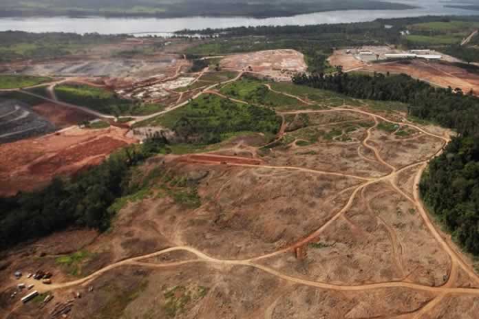 38IG-BRASIL LA DEFORESTACIÓN DE LA AMAZONÍA