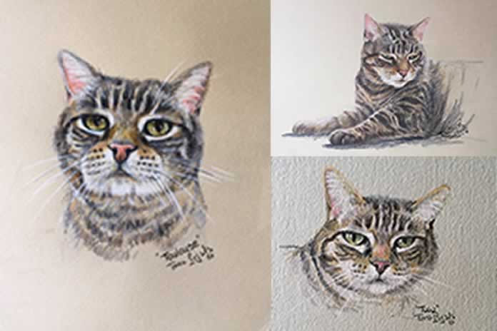 81CC-Diarios de cuarentena Retrato de un gato llamado Toulouse