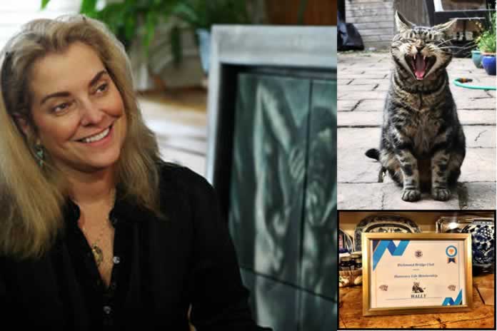 95CC-Diarios de cuarentena Dónde está Wally La historia de un gato durante la pandemia