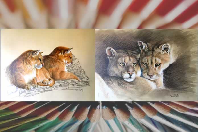 101CC-El arte de la Tana Pujals. Hermana y Mocha hermanas pumas en las Torres del Paine