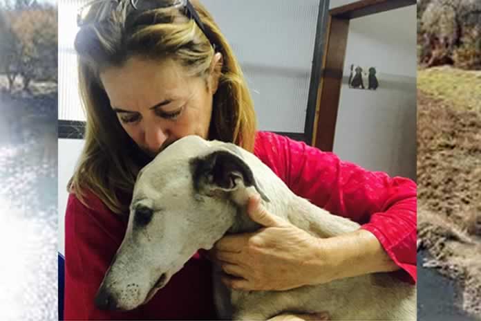 512IG-Cuaderno de opiniones. Al rescate de la galga “Dulcinea” capítulo 2