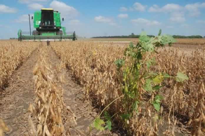 99EN-Actividad agrícola en alerta Se agudiza la sequía en gran parte de la Argentina