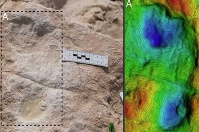 CC-HUELLAS HUMANAS 120 MIL ANOS ARABIA