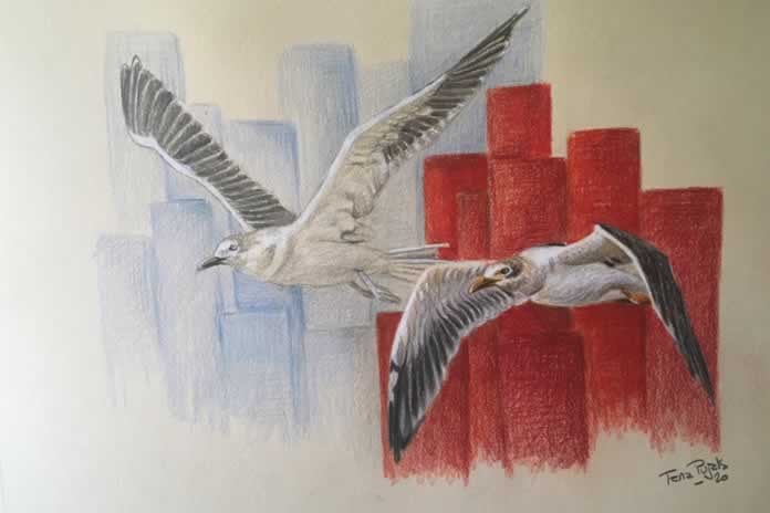 CC TANA PUJALS AVES EN VUELO