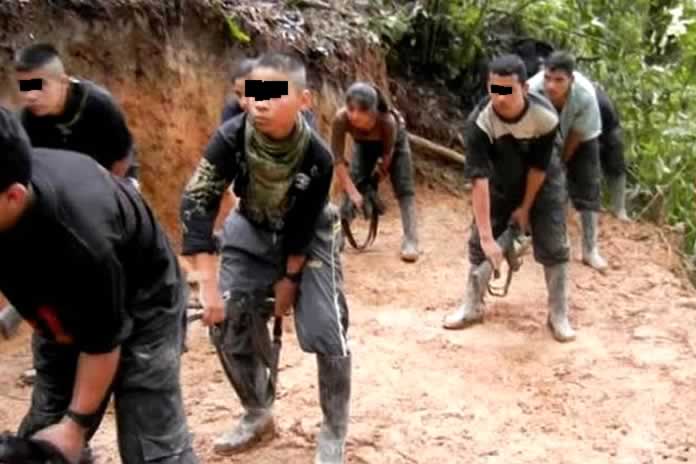 203iIN-Colombia. Un ex comandante de las FARC confirmó el reclutamiento de menores