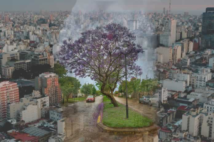 61IG-En la búsqueda de “Ciudades más sustentables”