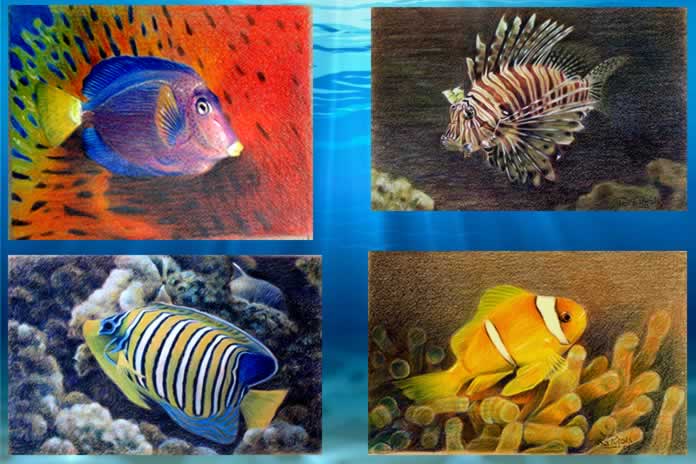 192CC-Los peces de tana Pujals