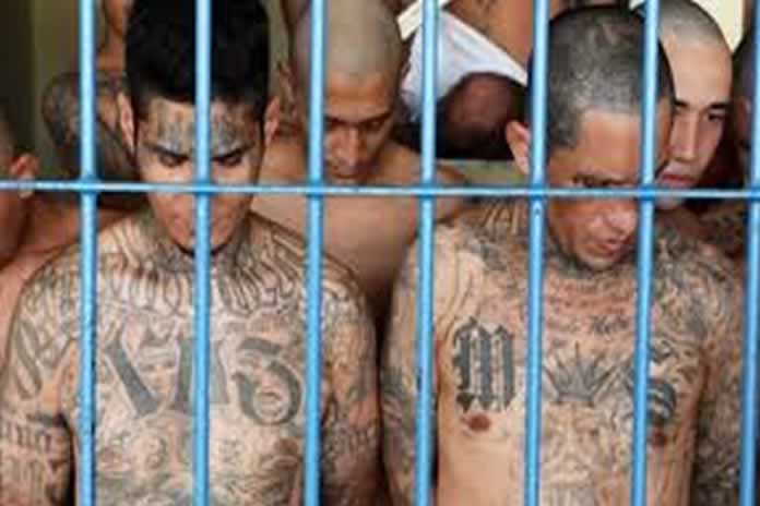 66SD-EEUU. Acusan de terrorismo a 14 líderes de la pandilla salvadoreña Mara Salvatrucha