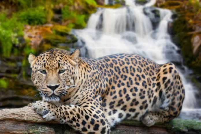 IG78-Pronóstico sombrío para la civilización con la emergencia climática