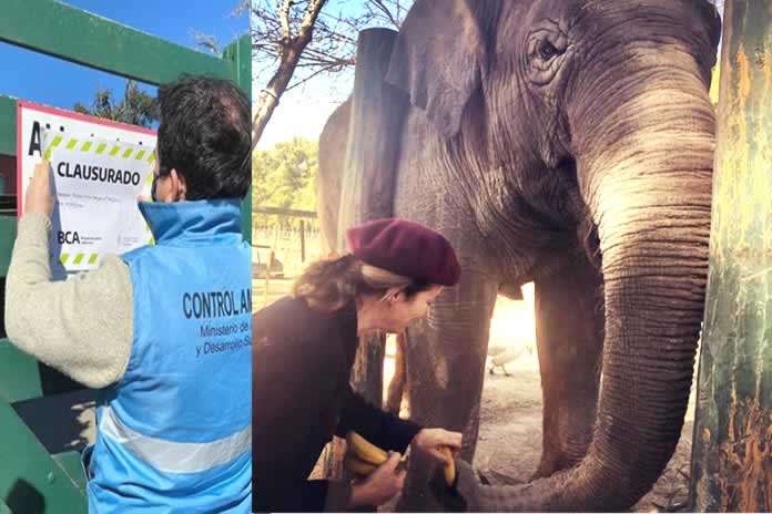 IG85-Los animales son considerados cosas en nuestro país. “En nombre de Sharima”