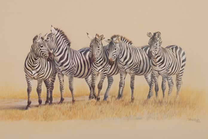 217CC- El arte de Tana Pujals. Cebras la elegancia de las rayas, el espíritu indomable del animal