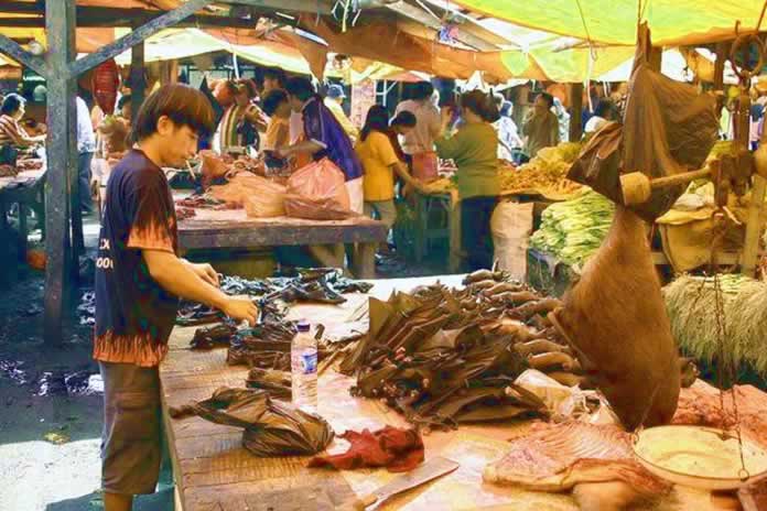 458INT- China. Para la OMS el coronavirus es de origen animal, y busca desvincular a Pekín de una fuga de un laboratorio