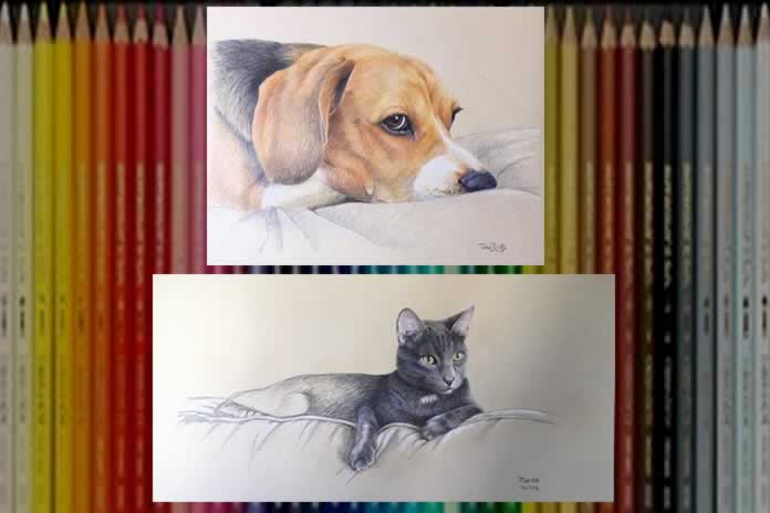 229CC- El arte de Tana Pujals Como perro y gato Scooby y Merlot