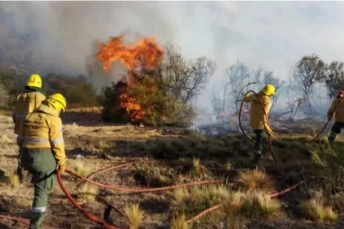 84 PR- Empresarios patagónicos reclaman rapidez al Gobierno para reconstruir zonas afectadas por incendios