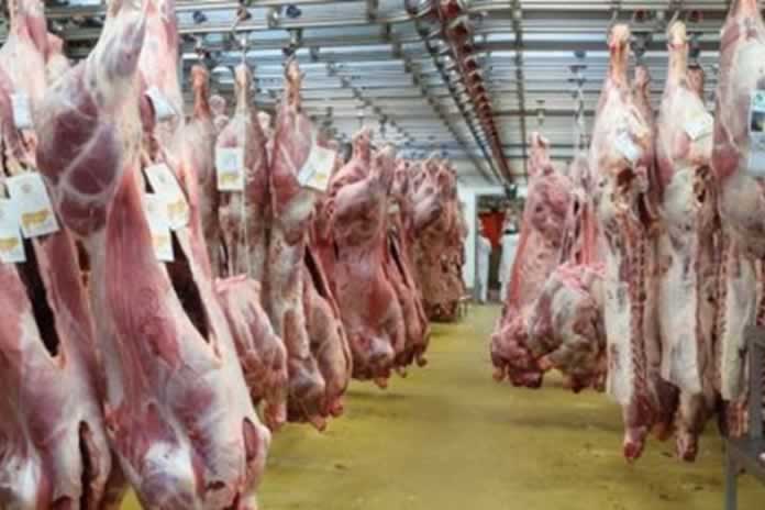 242EN- Potente reconfiguración global del consumo y producción de carnes